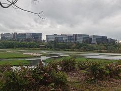 -华侨城湿地公园