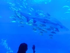 -南昌融创海世界