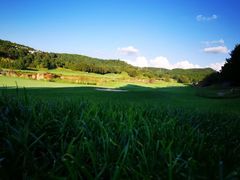 -阳光高尔夫俱乐部