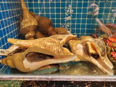 -肥福排档(星光店)