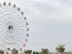 -金卉庄园