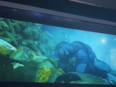 -美足时光•精致悦足•水疗SPA(龙泉店)