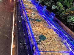 -鼎香缘海鲜自助火锅烤肉(锦辉购物广场店)