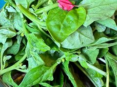 -慢丽江·云南野生菌土鸡锅(付家庄店)