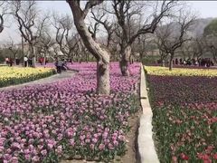 -黄河三峡风景名胜区