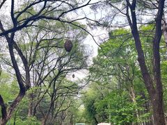 -沈阳植物园