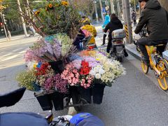 -樱吉岛寿喜锅(肇嘉浜路店)