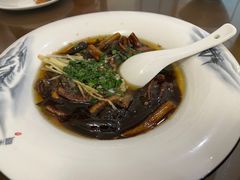 -椿不老