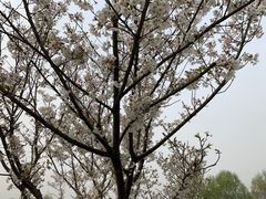 -长广溪湿地公园