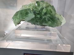 -中国地质大学逸夫博物馆