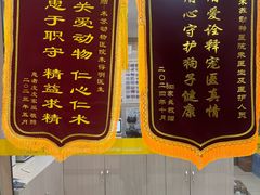 -米苏动物医院·犬猫专科·骨科外科内窥镜