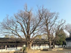 -苏州碑刻博物馆