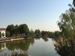 -静之湖湖畔餐厅