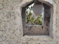 -北京凤凰岭
