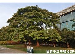 -星美国际影商城(黄龙店)