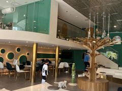 -飞行喵MR PILOT|猫舍·猫咖(静安大融城店)