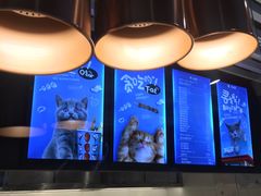 -开心猫无锡三阳广场店