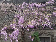 -老门东历史文化街区