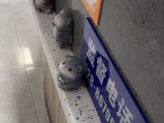 -半岛宠物医院24小时(白果林店)