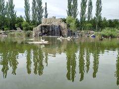 -大青山野生动物园