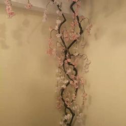 -玛妮雅科技纤体美容