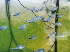 -布梵·台式热敷古法按摩Massage·Spa(品尊国际店)