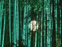 -杭州黄龙洞