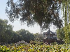 -莲池书院博物馆