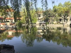 -舜耕山庄四时万和自助餐厅