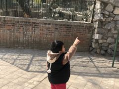 -保定市动物园