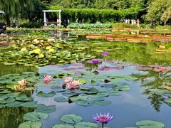 -国家植物园南园