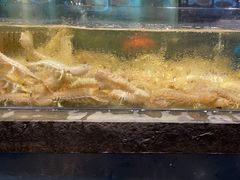 -龙宴海鲜城(经中路店)