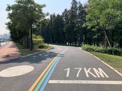 -顺峰山公园