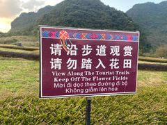 -靖西鹅泉风景区