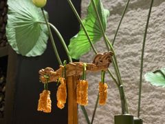 太宗吊烧肉-长安壹号