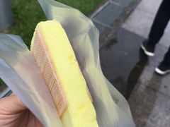 -詹爷爷乌节路街头冰淇淋