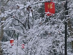 -杭州黄龙洞