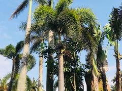 -四海轩(珠海海泉湾店)