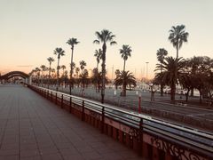-小巴塞罗那海滩