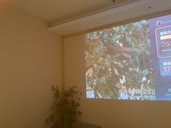 -沐森 •疗愈头疗馆(打浦桥店)