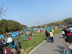 -昆山城市生态森林公园