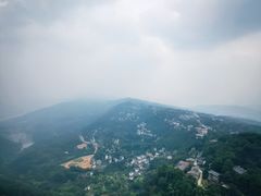 -大金鹰园