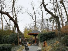 -威海天沐度假区温泉