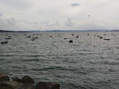 -海源公园