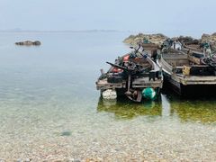 -养马岛旅游度假区