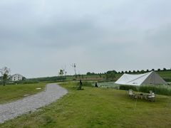 -合肥滨湖国家森林公园