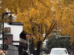 -奇芳阁·百年清真南京菜(夫子庙店)