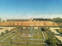 -大韩庄韩氏祖传正骨