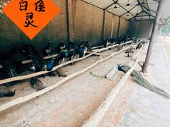 -秦皇岛野生动物园