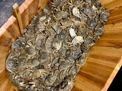 -初色海鲜自助(万丰路店)